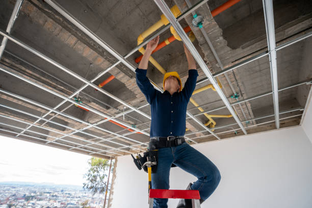 Best Plumbing Inspection Services  in Heber Springs, AR
